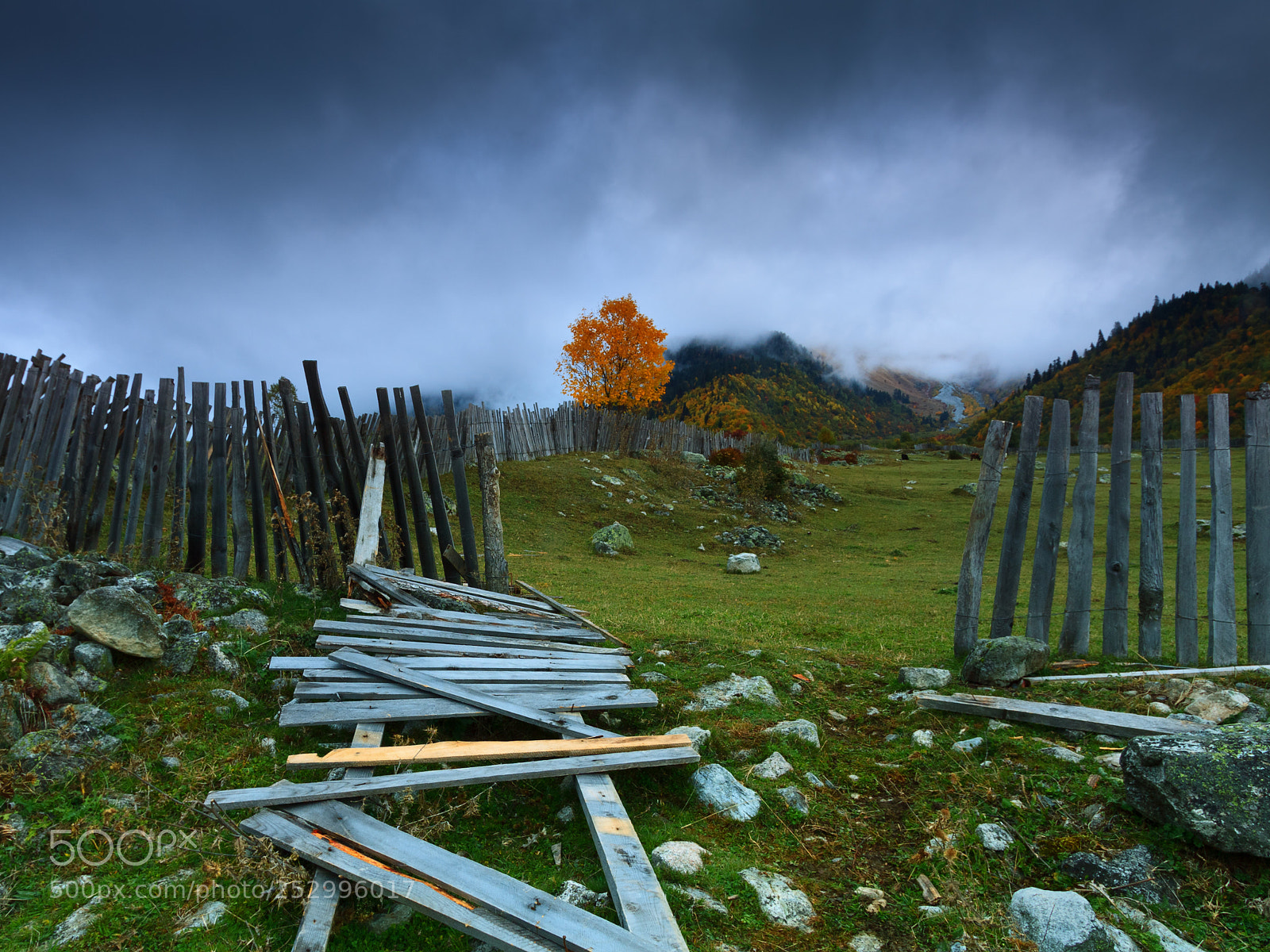 Canon EOS 50D sample photo. Misty autumn in svaneti photography
