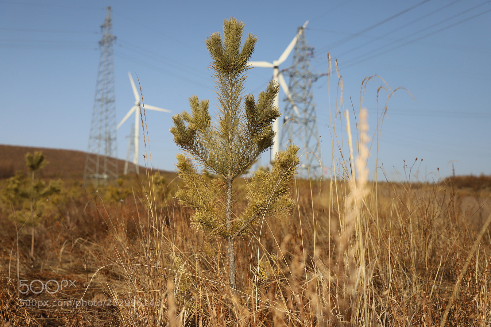 Canon EF 24-105mm F4L IS II USM sample photo. The morning photography