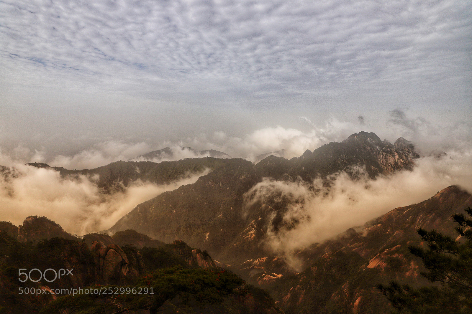 Canon EOS 6D Mark II sample photo. Sea of clouds photography