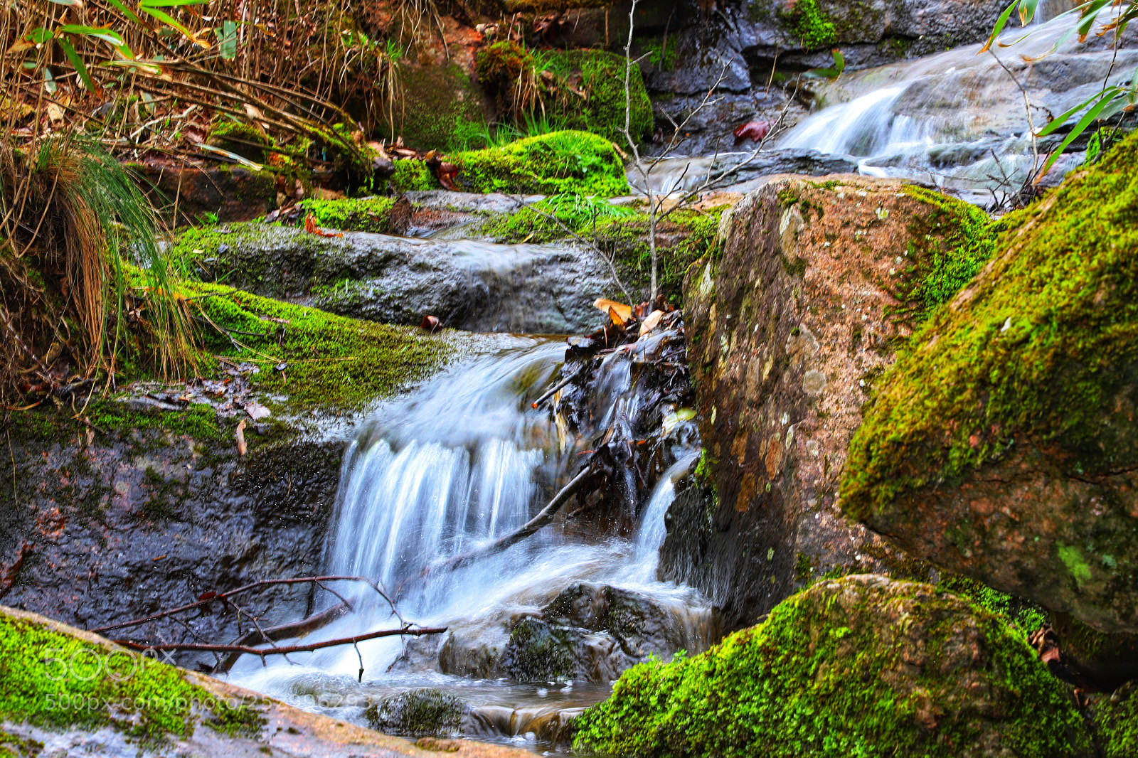 Canon EOS 6D Mark II sample photo. Stream water photography