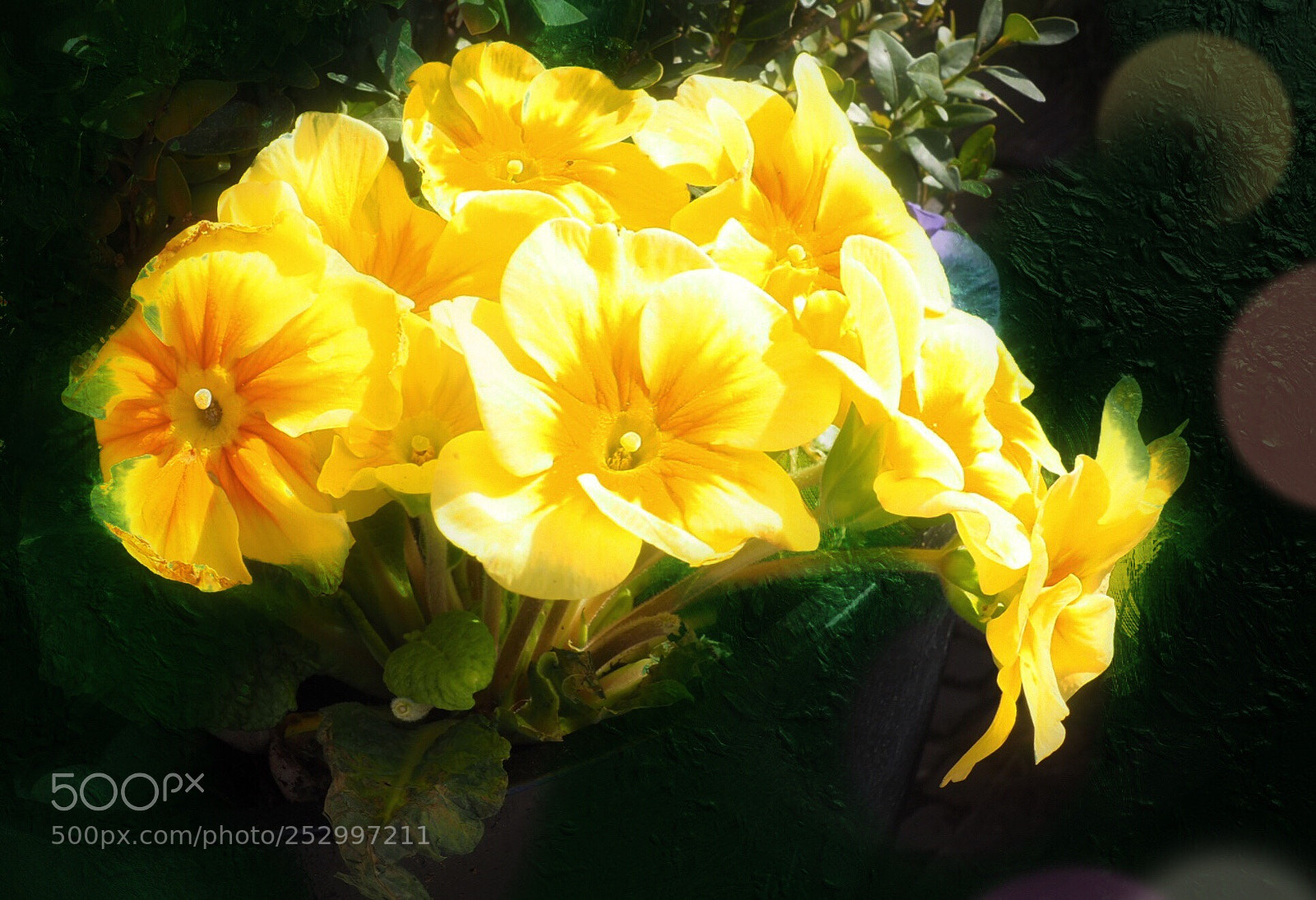 Olympus OM-D E-M10 II sample photo. Shinning art photography