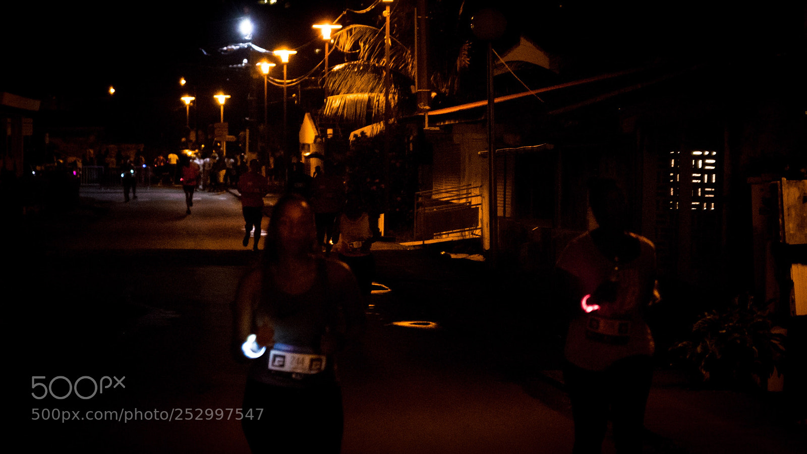 Nikon D500 sample photo. Night run photography