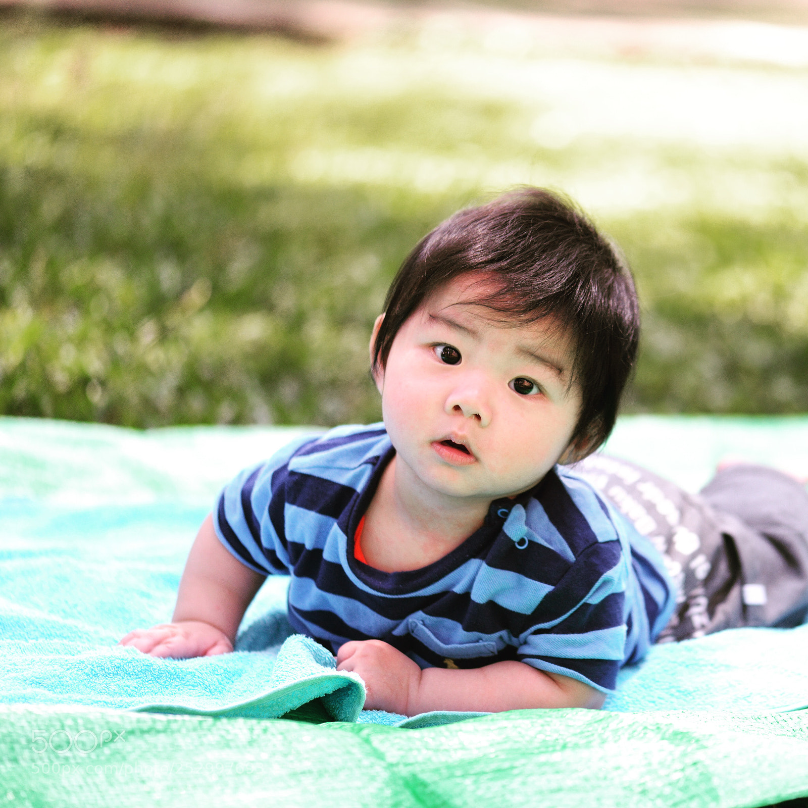 Nikon D800 sample photo. Untitled photography