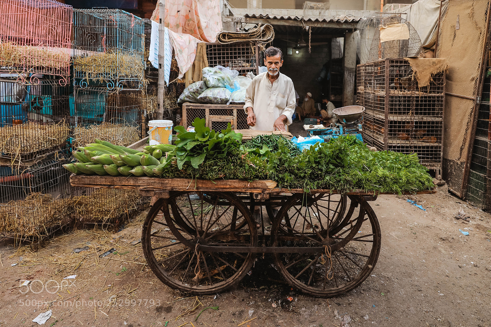 Canon EOS 5D Mark IV sample photo. Sabziwala photography