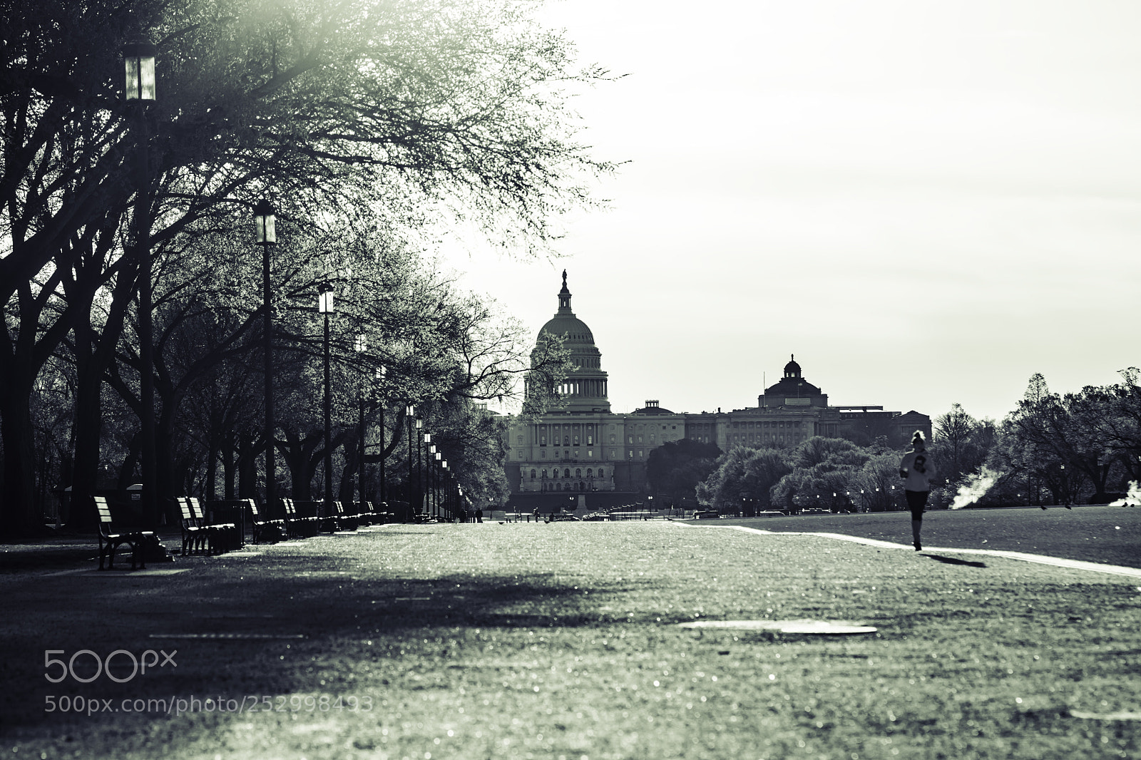 Nikon D7200 sample photo. The capitol photography