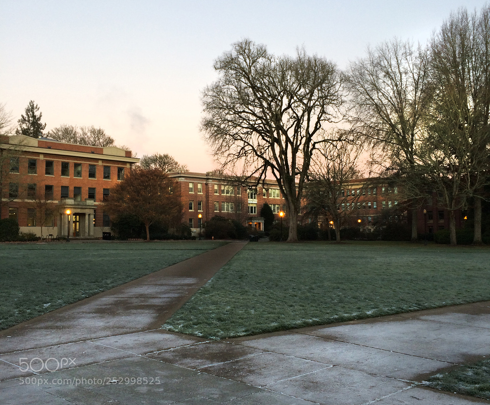 Apple iPhone 5s sample photo. Frosty dawn at osu photography