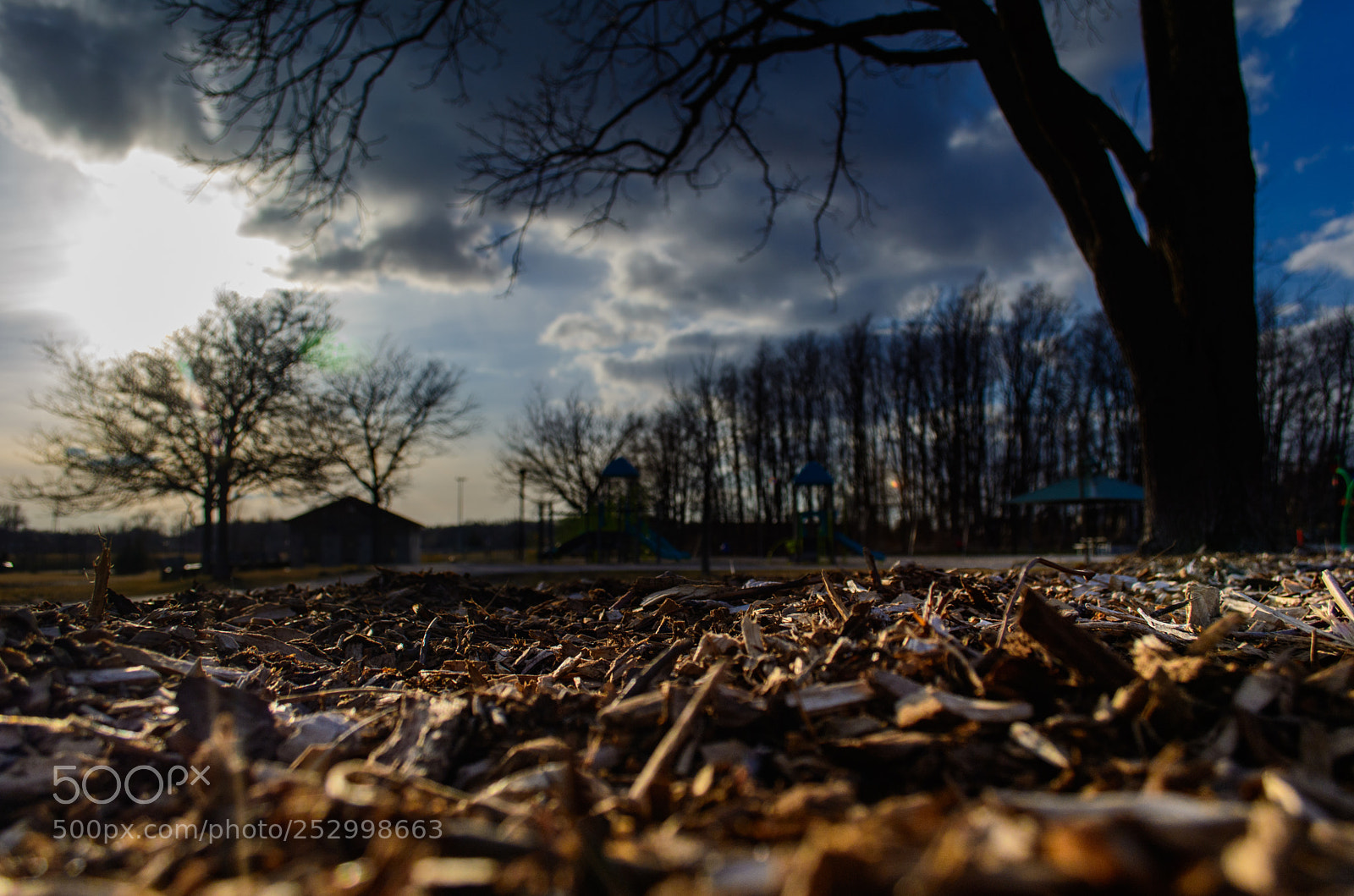 Nikon D5200 sample photo. Untitled_sun_moody_park photography
