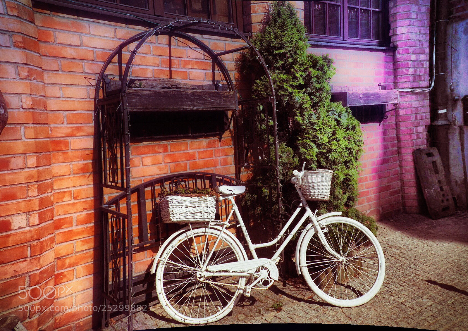 Olympus OM-D E-M10 II sample photo. White color bicycle  photography