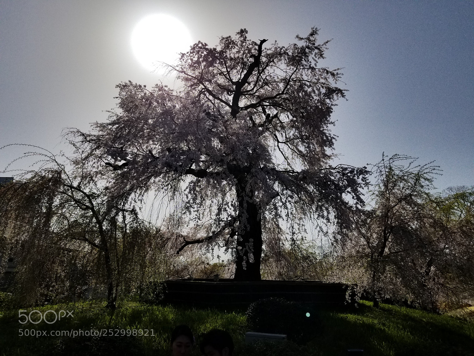 Samsung Galaxy S8+ sample photo. Stand alone photography