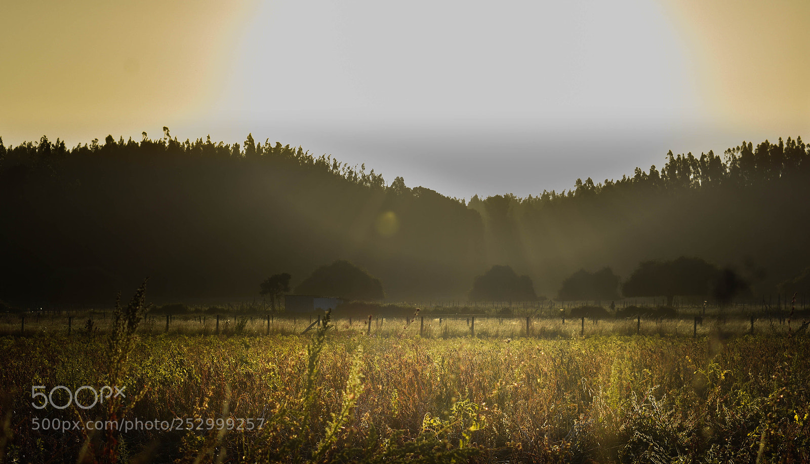 Nikon D3400 sample photo. Sun photography