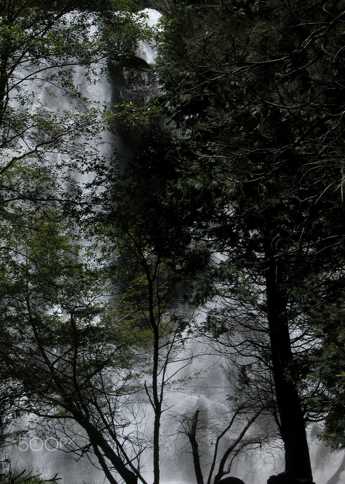Nikon E5700 sample photo. Grizzley falls and trees photography