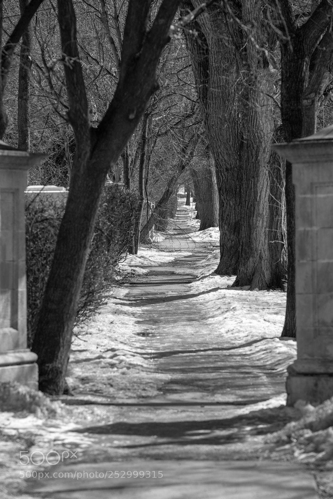 Nikon D810 sample photo. The gates photography