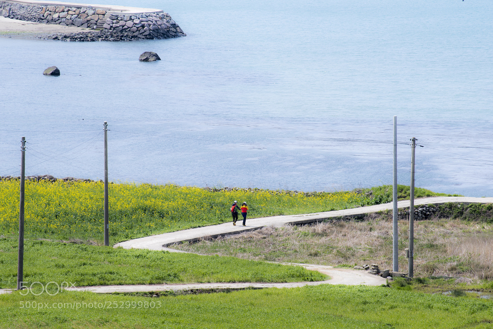 Nikon D810 sample photo. Spring coming photography