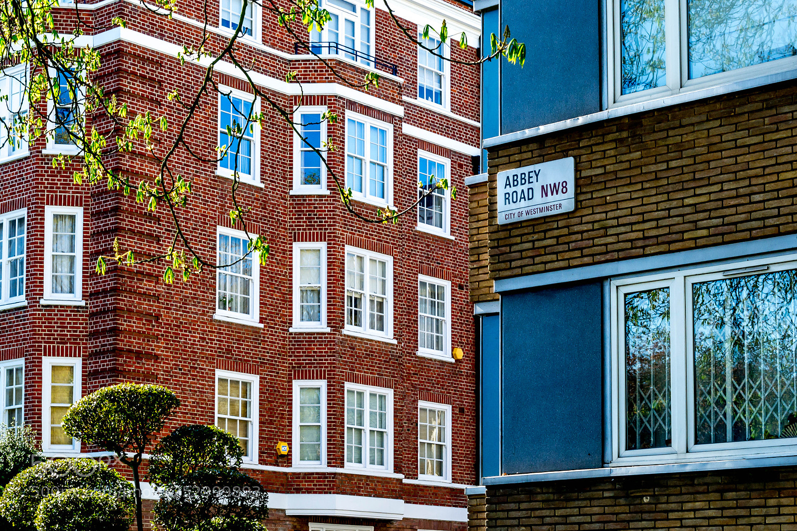 Nikon D3100 sample photo. Abbey road photography