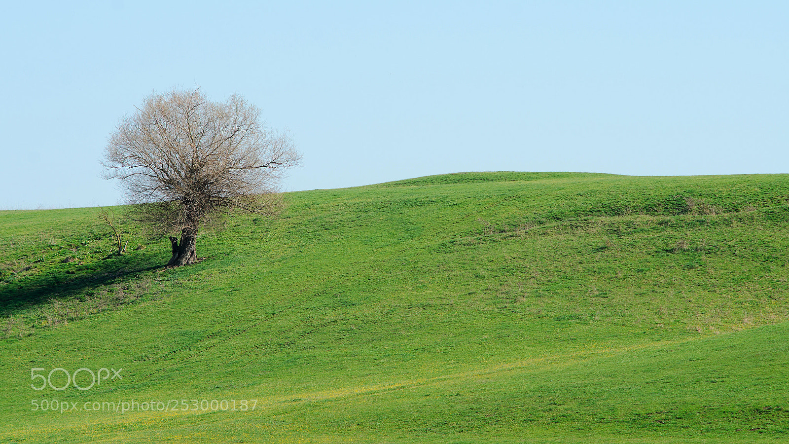 Nikon D7000 sample photo. April landscape photography