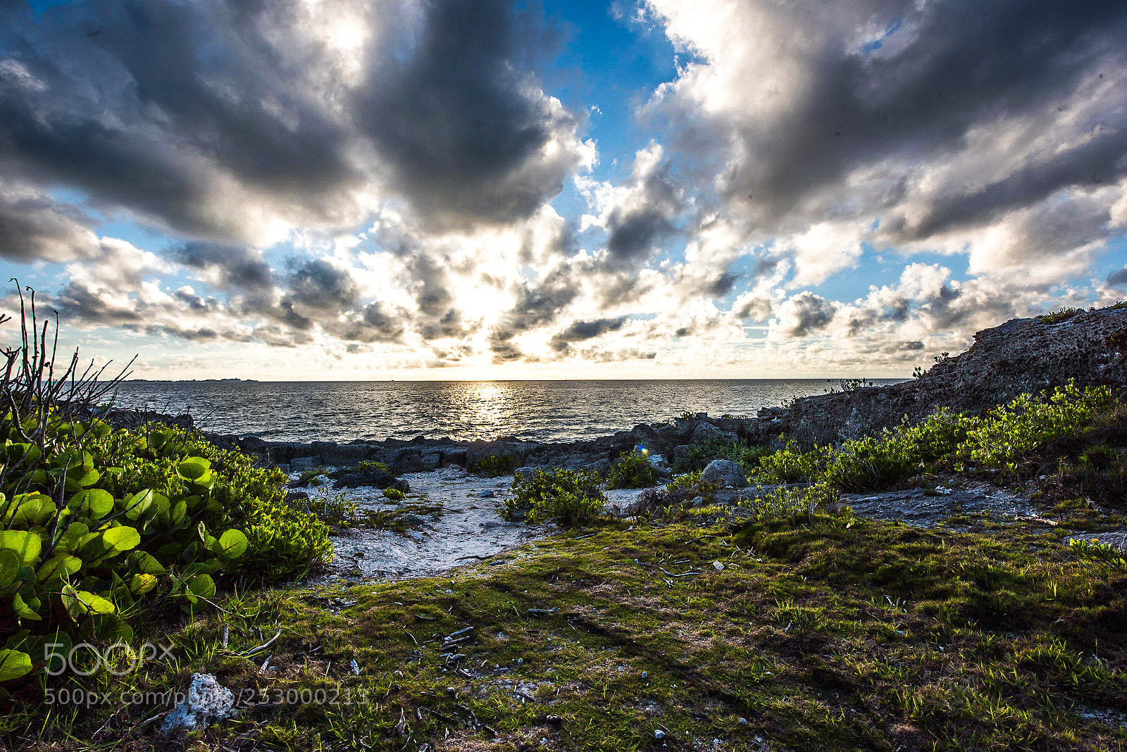 Nikon D810 sample photo. Overcast photography