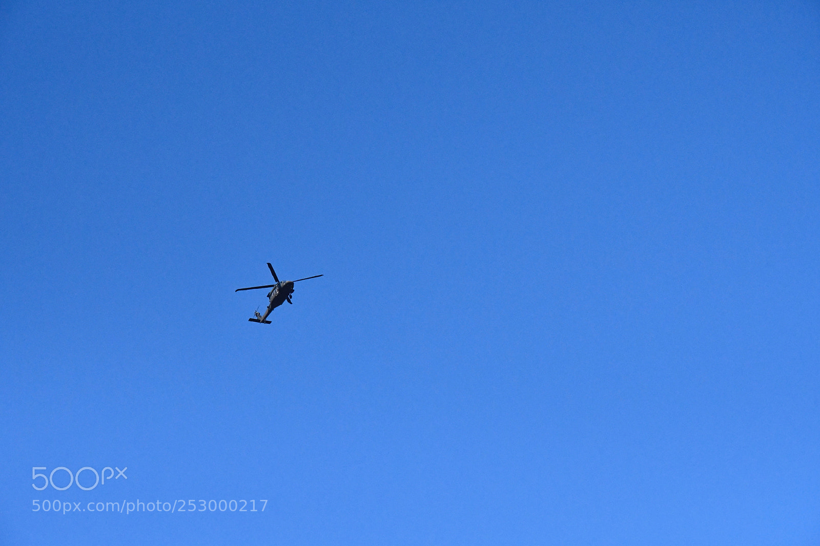 Nikon D7500 sample photo. Hovering in blue sky photography