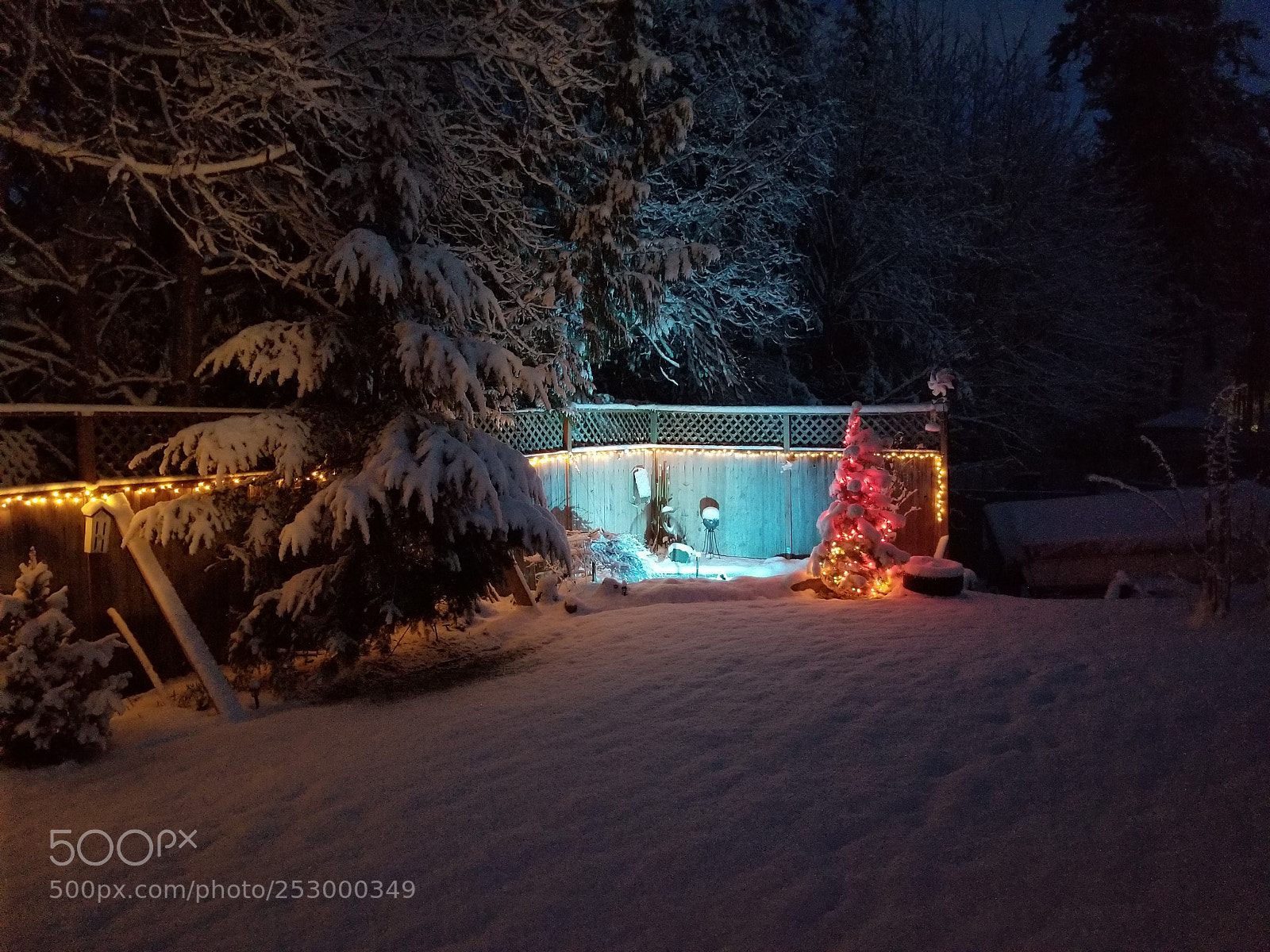 Samsung Galaxy S8+ sample photo. Snowy serenity photography