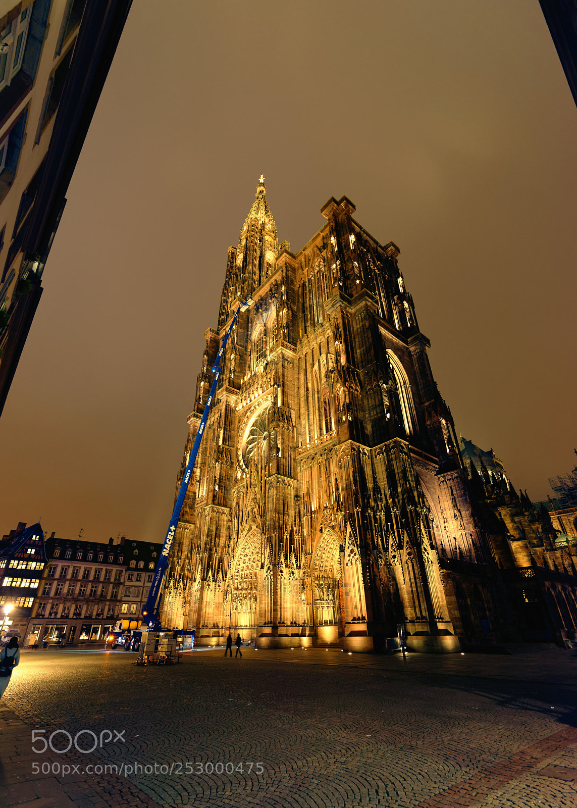 Nikon D800 sample photo. Cath drale notre-dame de photography