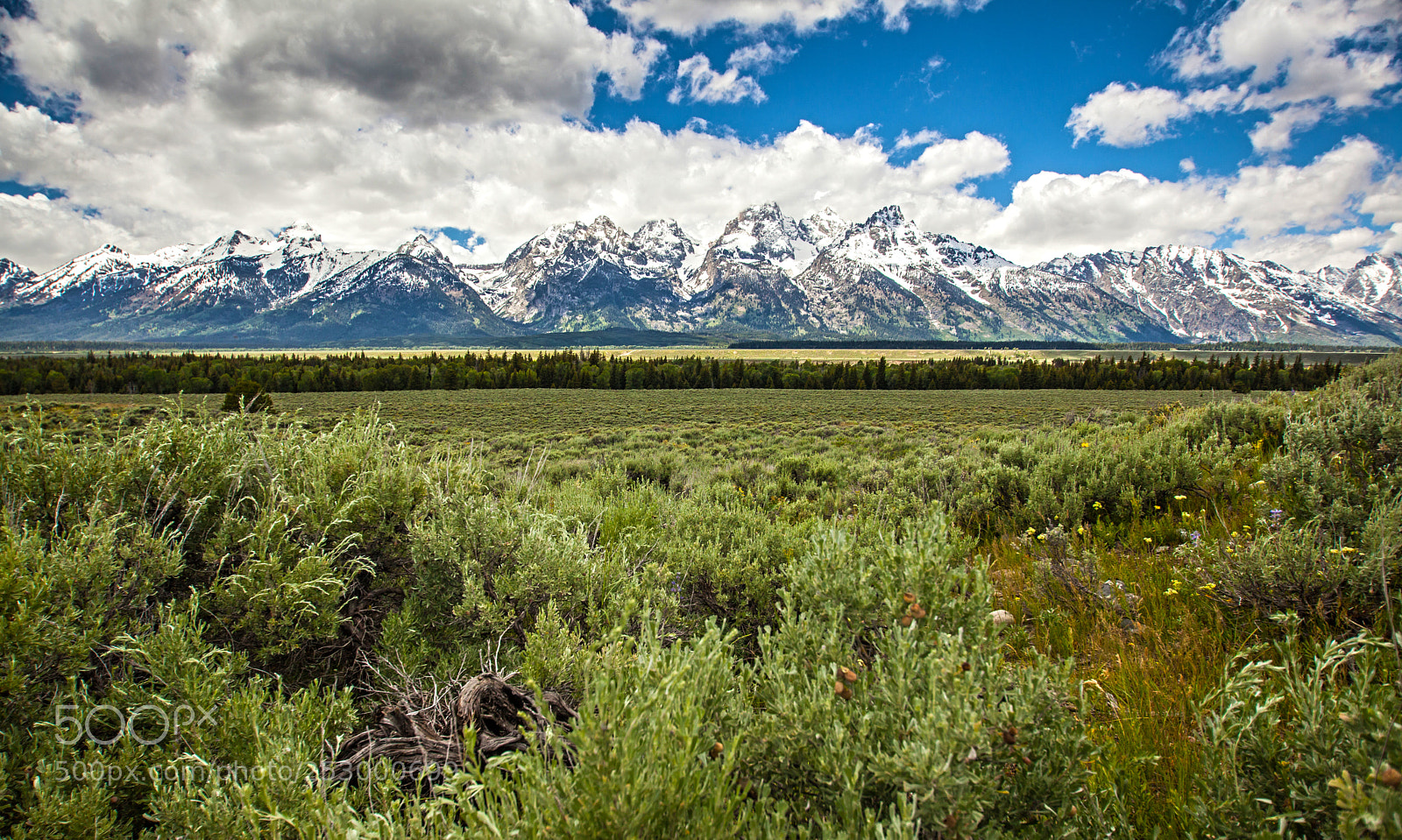 Canon EOS 5D Mark II sample photo. Tetons photography