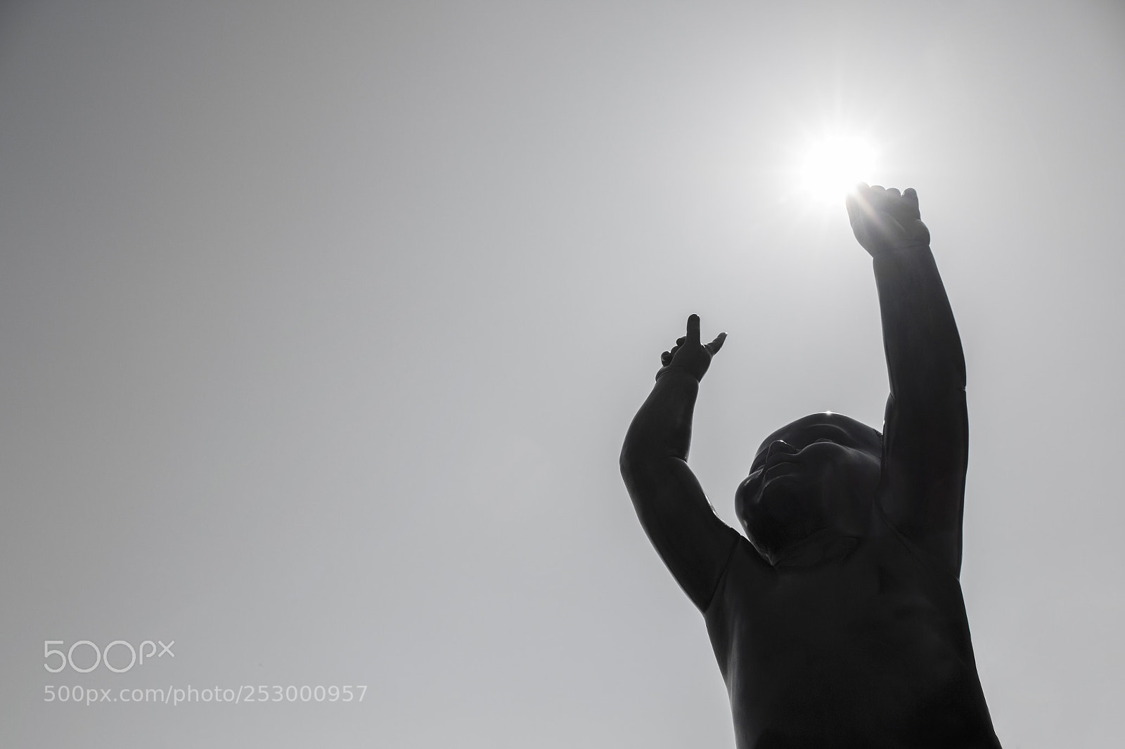 Canon EOS 70D sample photo. Bright dreams of a photography