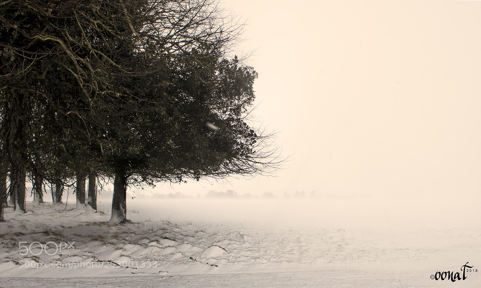 Canon EOS 750D (EOS Rebel T6i / EOS Kiss X8i) sample photo. Drifting snow photography