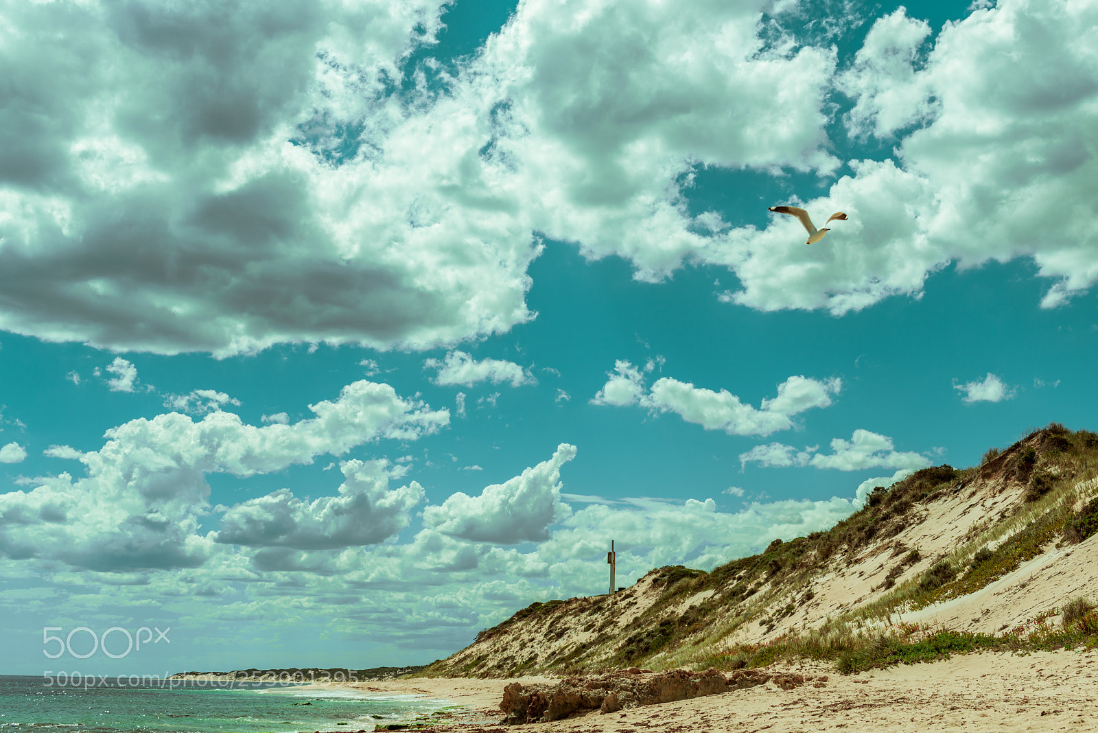 Nikon D800E sample photo. Two rocks photography