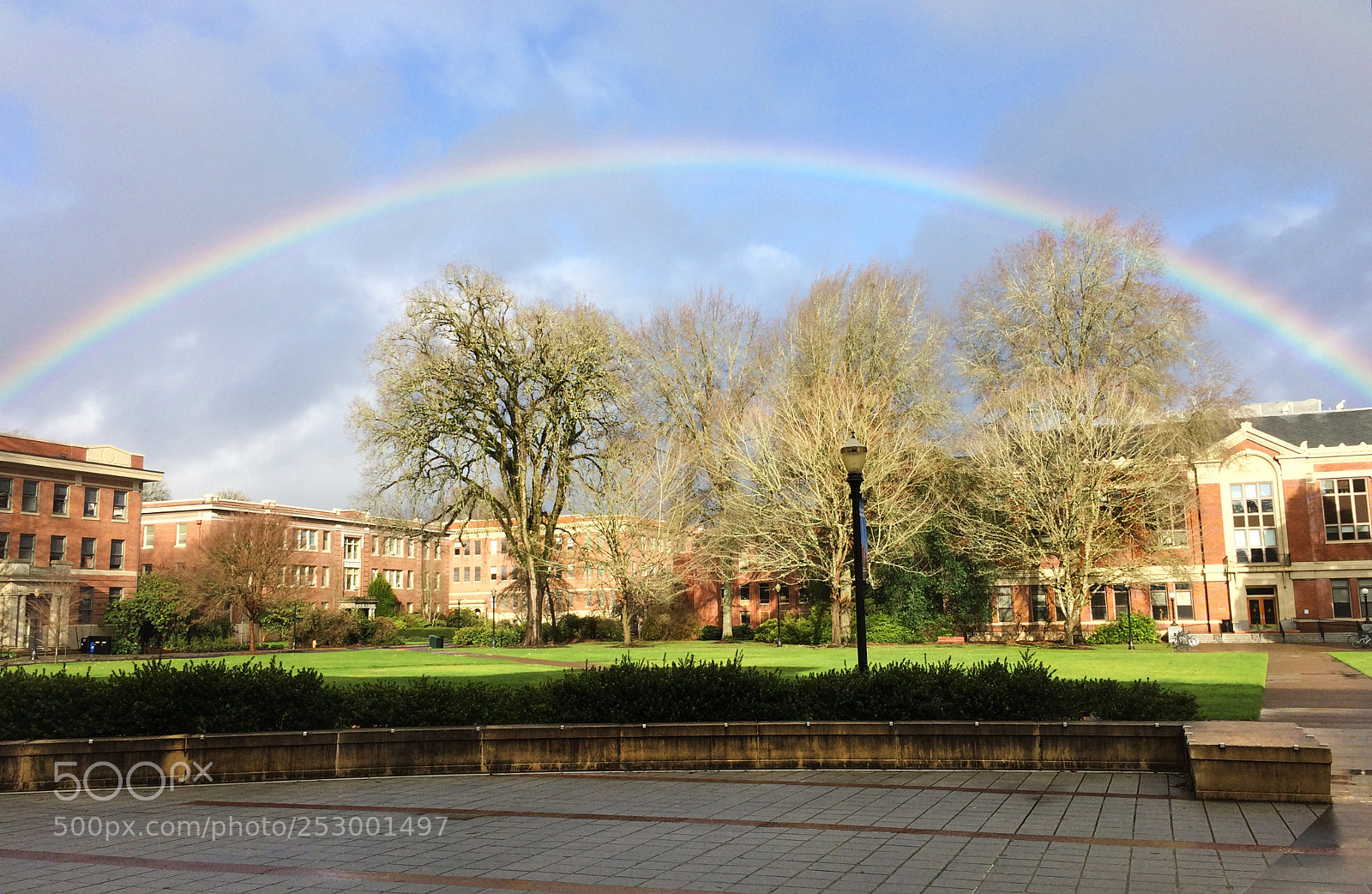 Apple iPhone 5s sample photo. Osu rainbow photography