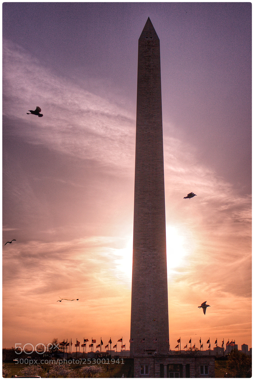 Canon EOS 450D (EOS Rebel XSi / EOS Kiss X2) sample photo. Washington monument  photography