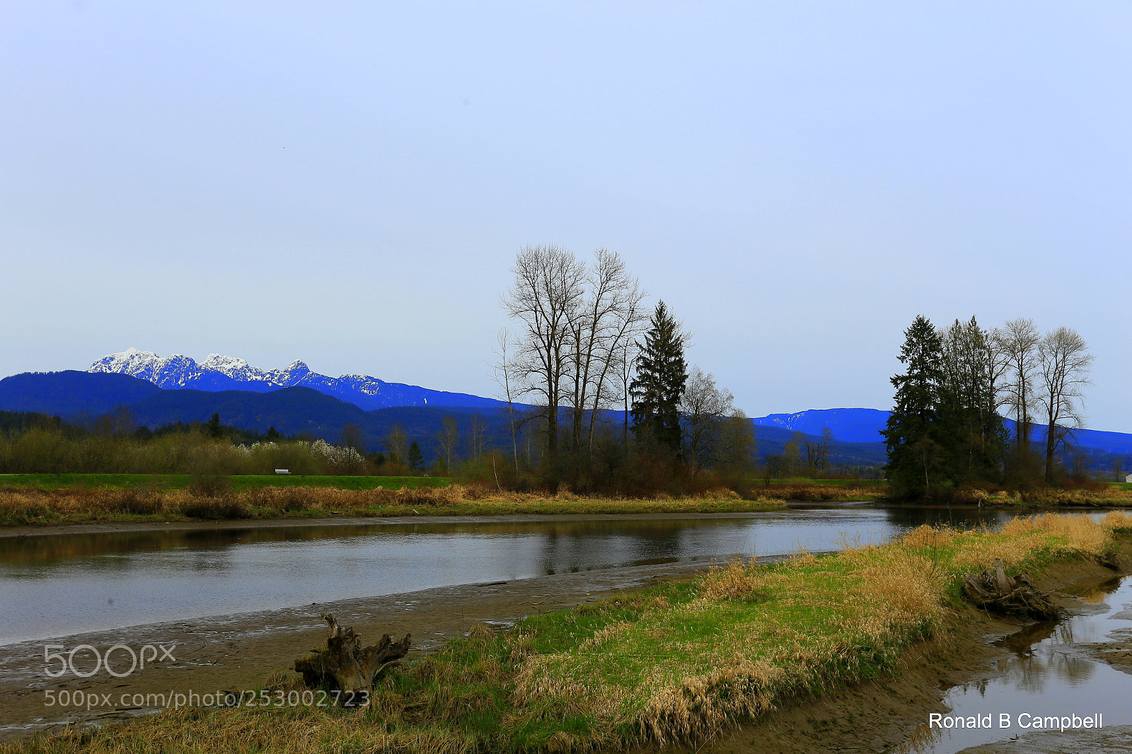 Canon EOS 6D + Canon EF 17-40mm F4L USM sample photo. Spring time moment photography