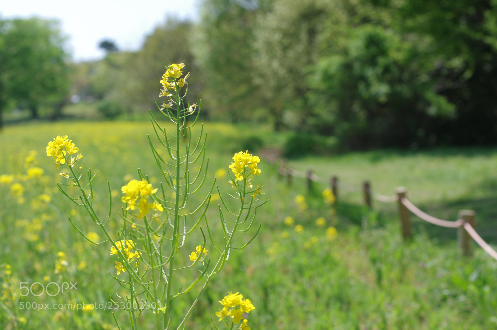 Pentax K-3 sample photo. Just the way you photography