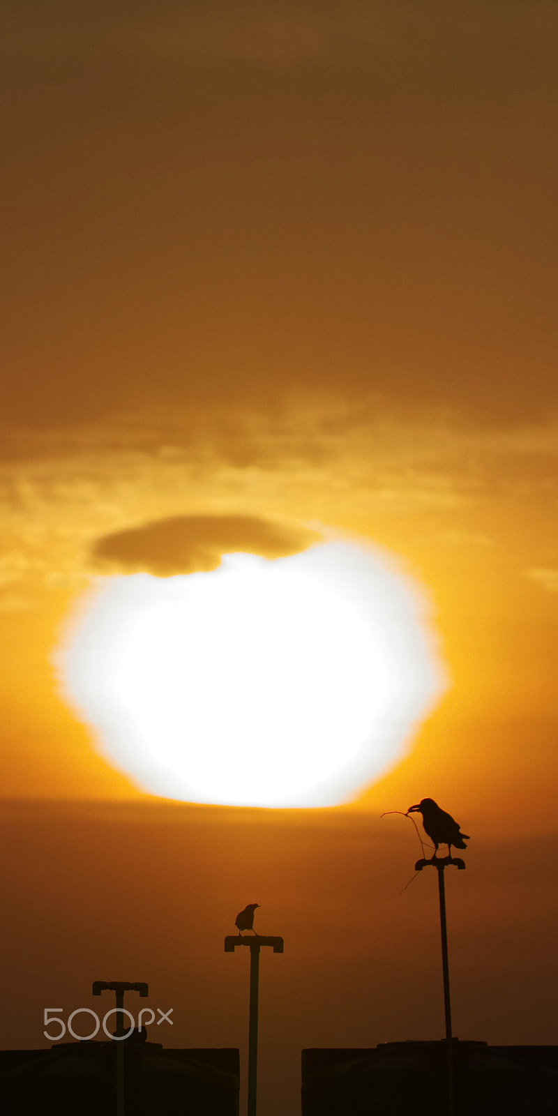 Sigma sd Quattro sample photo. Sunrise photography