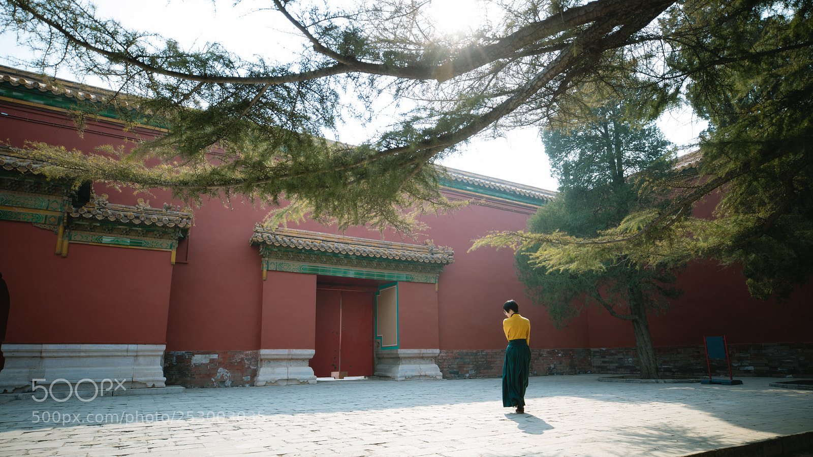 Canon EOS 5D Mark IV sample photo. The forbidden city 2 photography