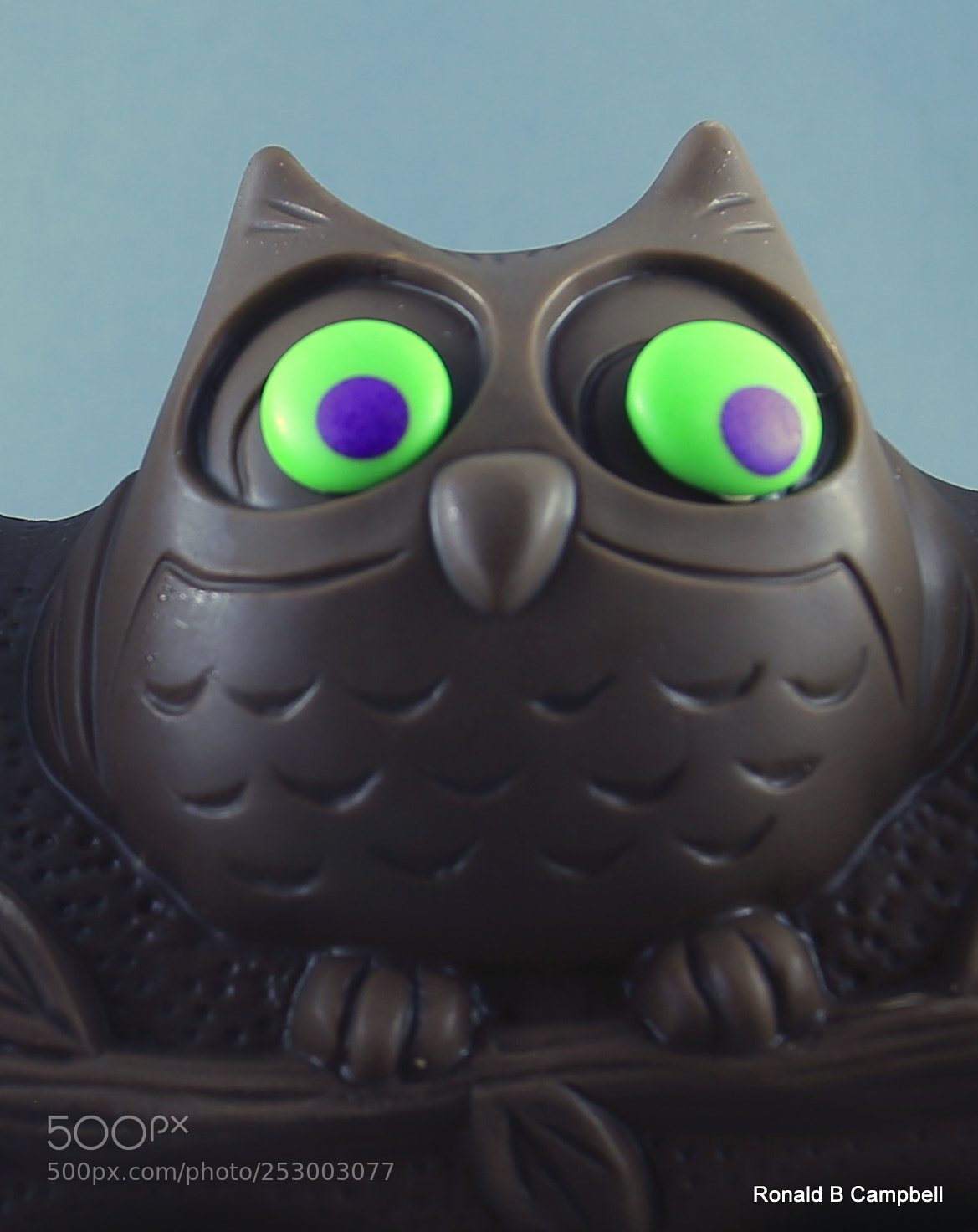 Canon EOS 6D + Canon EF 17-40mm F4L USM sample photo. Chocolate owl photography