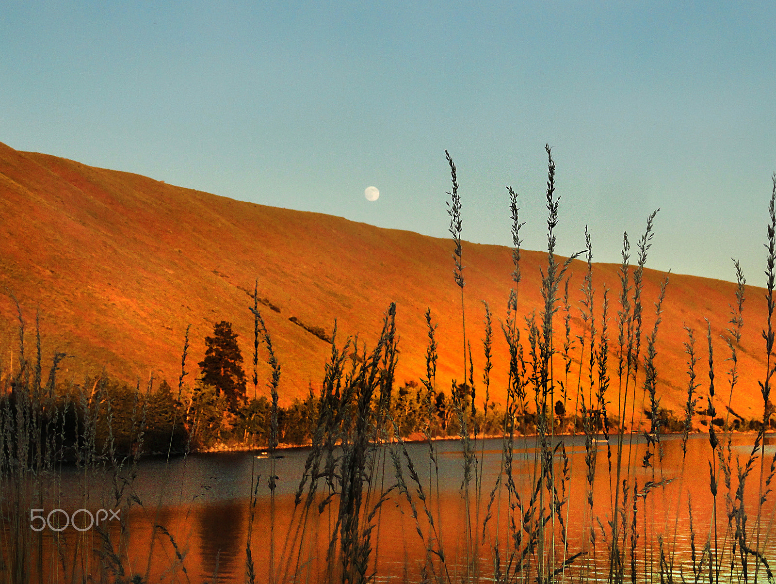 Sony Cyber-shot DSC-H55 sample photo. Wallowa lake sunset moon photography