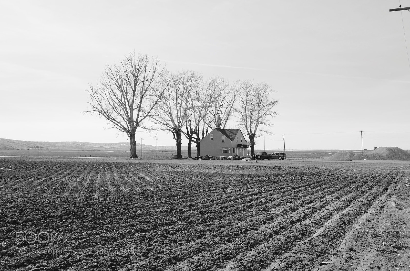 Nikon D7000 sample photo. Untitled photography