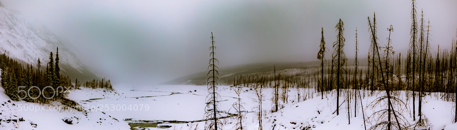 Canon EOS 5D Mark IV sample photo. Medicine lake on a photography