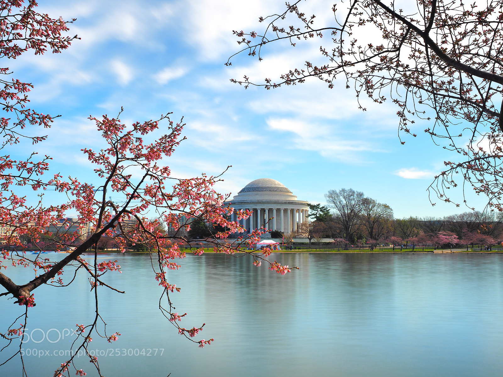 Olympus OM-D E-M1 Mark II sample photo. Cherry blossoms photography