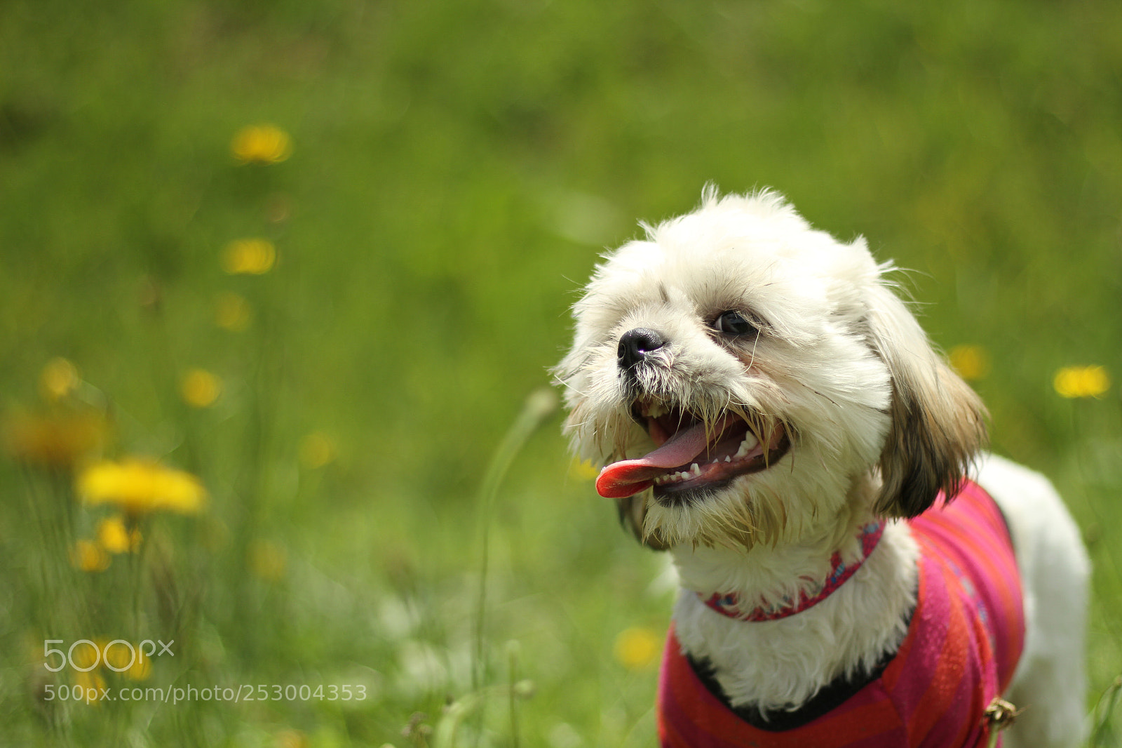 Canon EOS 7D sample photo. Untitled photography