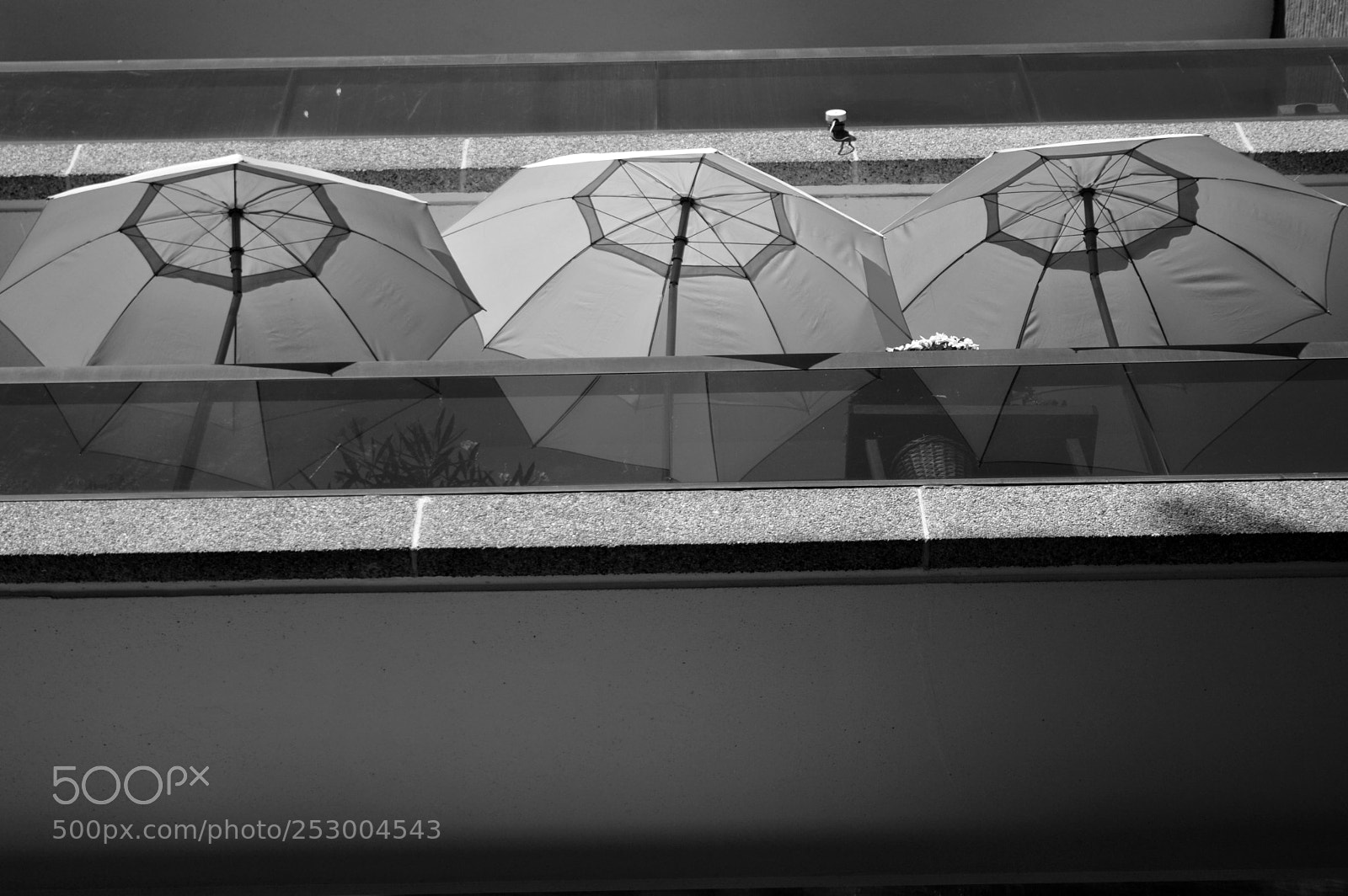 Nikon D3200 sample photo. Umbrellas photography