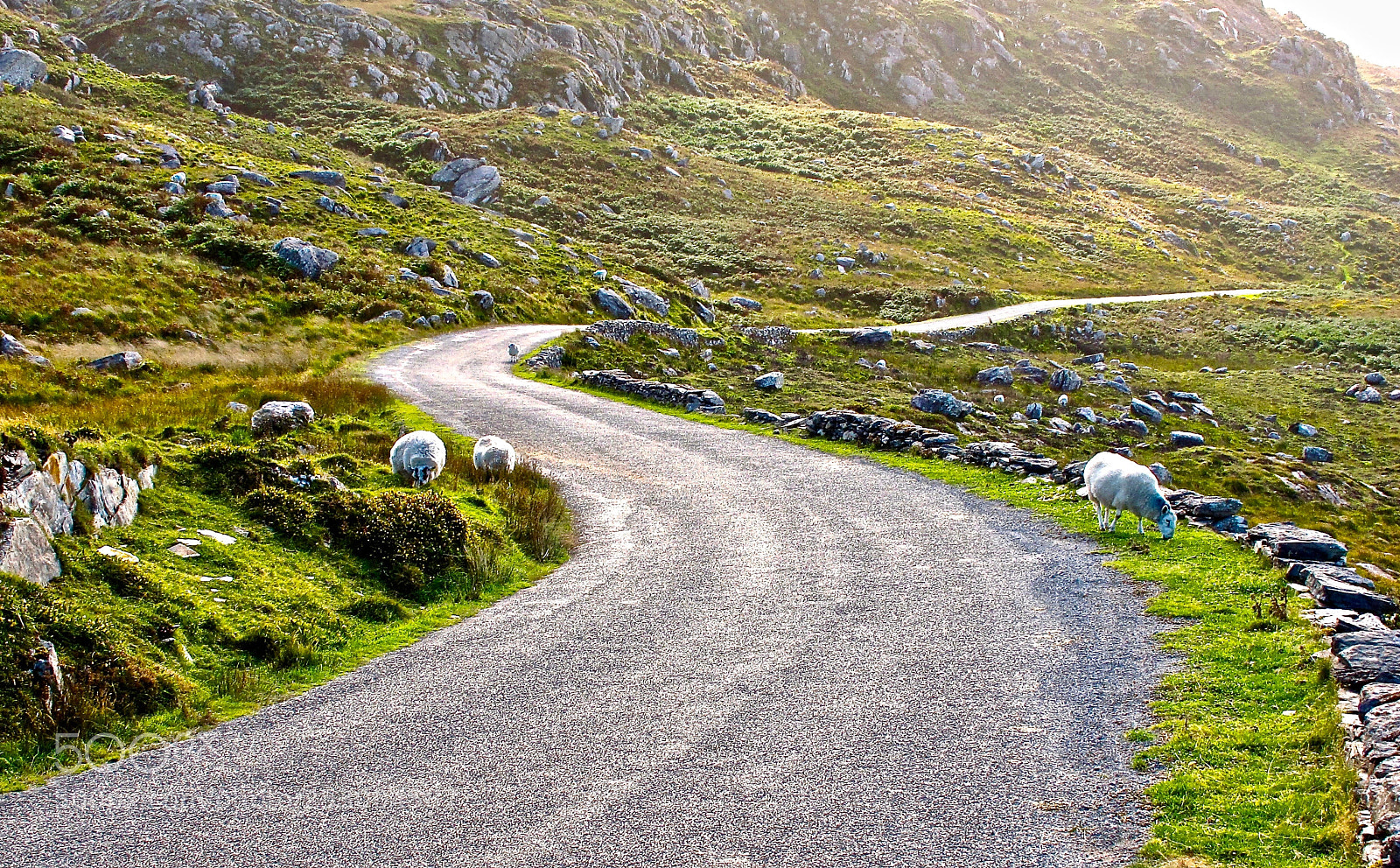 Canon PowerShot G12 sample photo. Beara penninsula, ireland photography