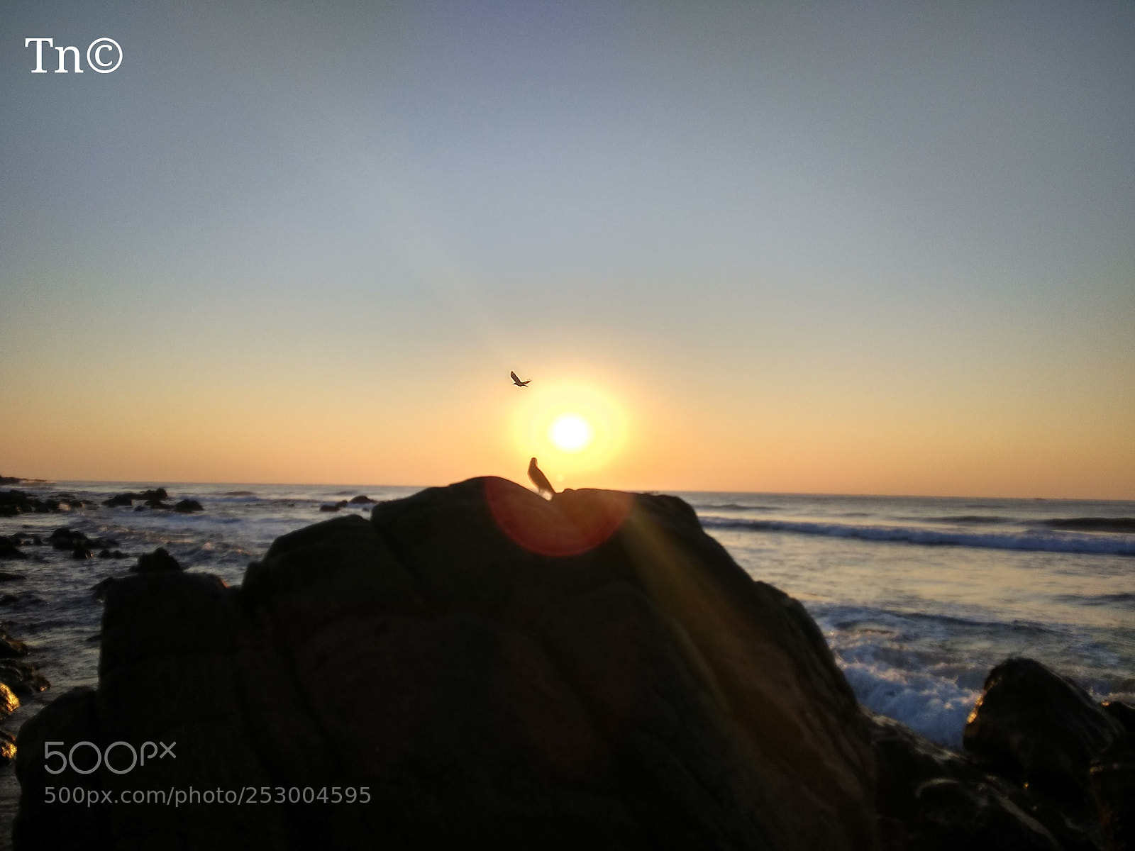 Xiaomi Redmi Note 4 sample photo. Sun, sea n birds photography