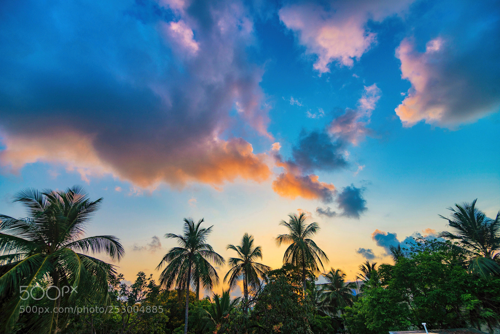 Nikon D610 sample photo. Daybreak sky tones photography