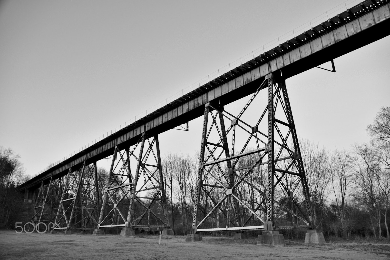 Nikon D5500 sample photo. Elevated rust photography
