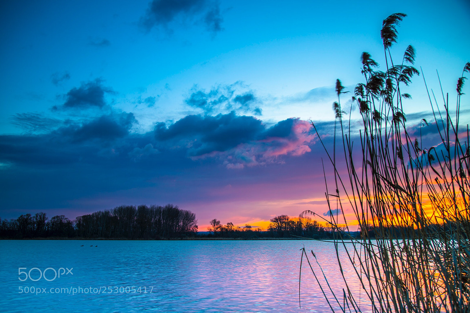 Sony a7R III sample photo. Sunrise colours and silhouettes photography