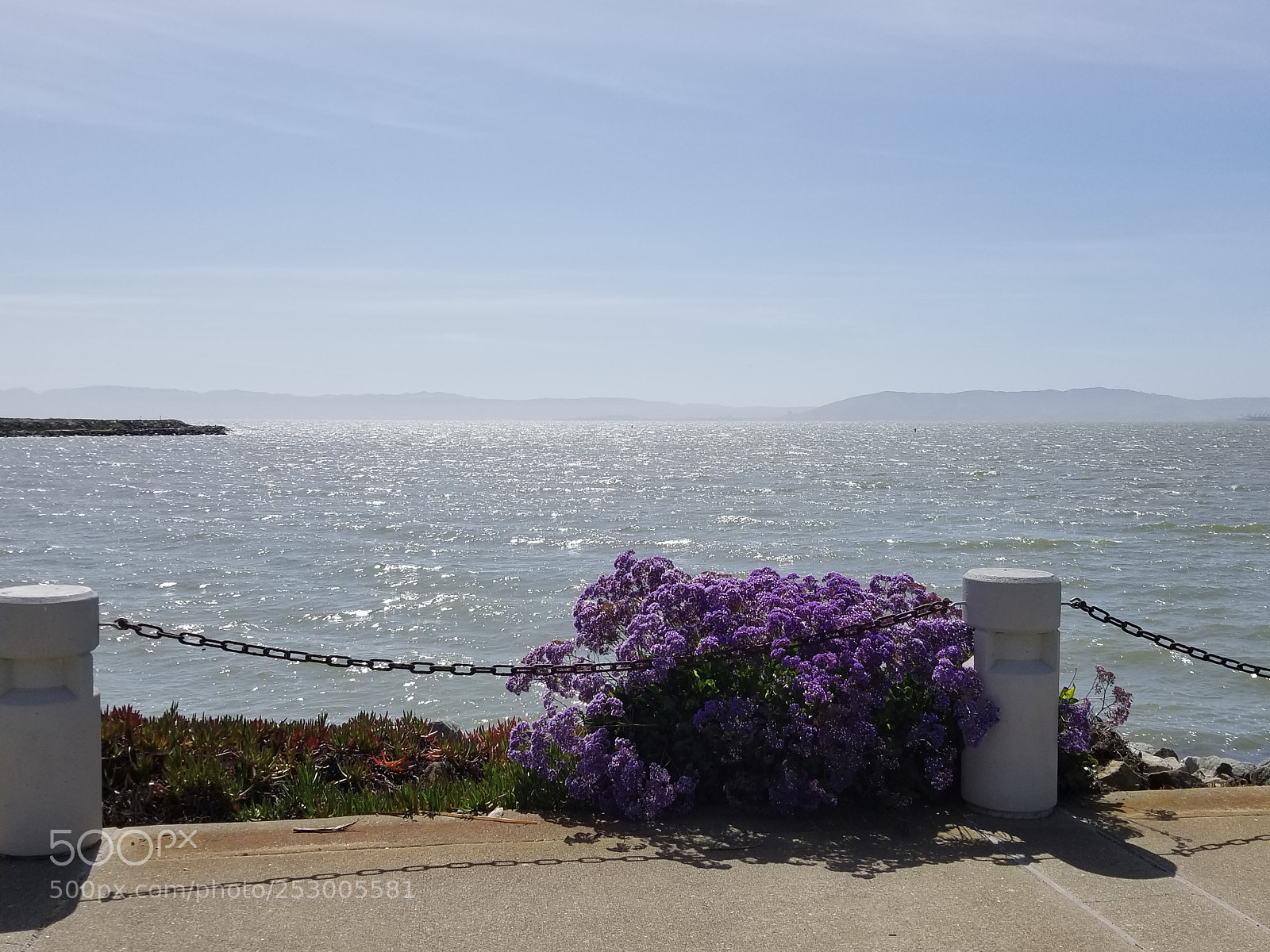 Samsung Galaxy S8 sample photo. Spring photography