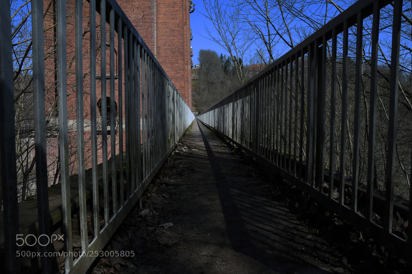 Nikon D500 sample photo. On the hiking trail photography