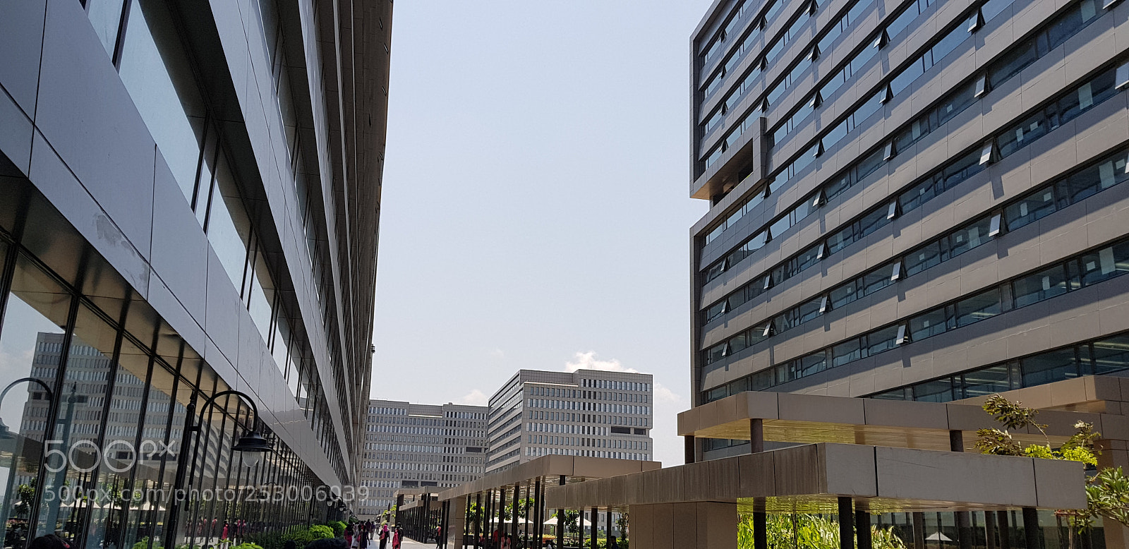 Samsung Galaxy S8+ sample photo. When your office is photography