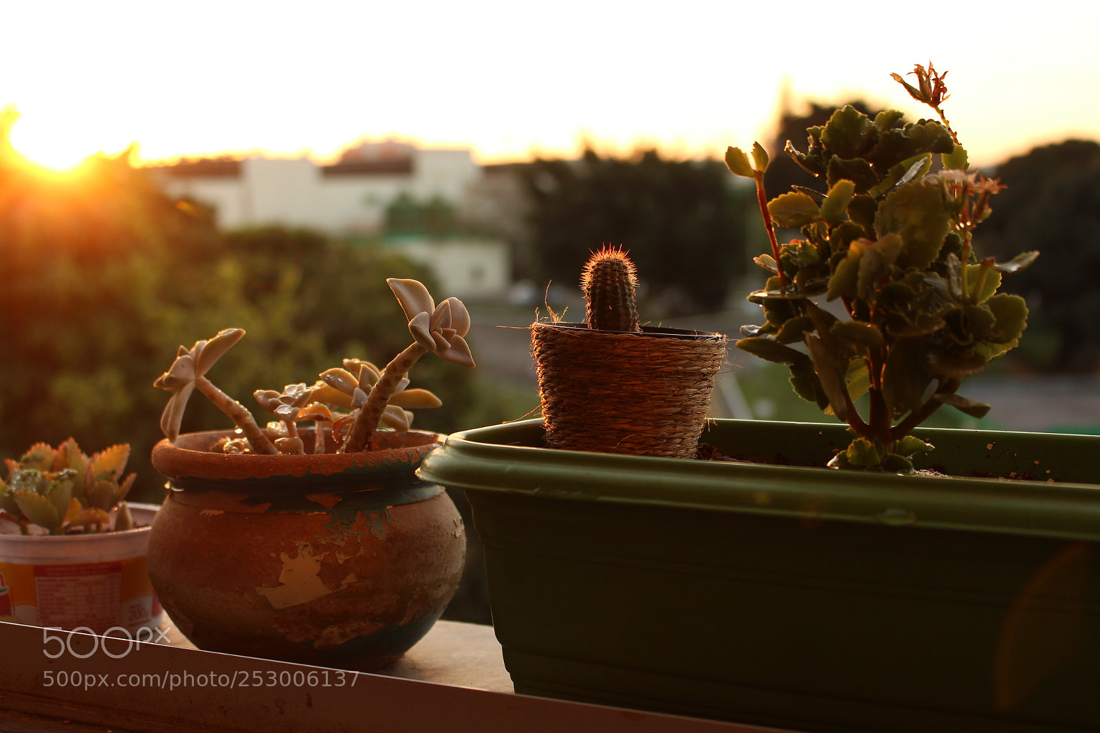 Canon EOS 700D (EOS Rebel T5i / EOS Kiss X7i) sample photo. Fim de tarde photography