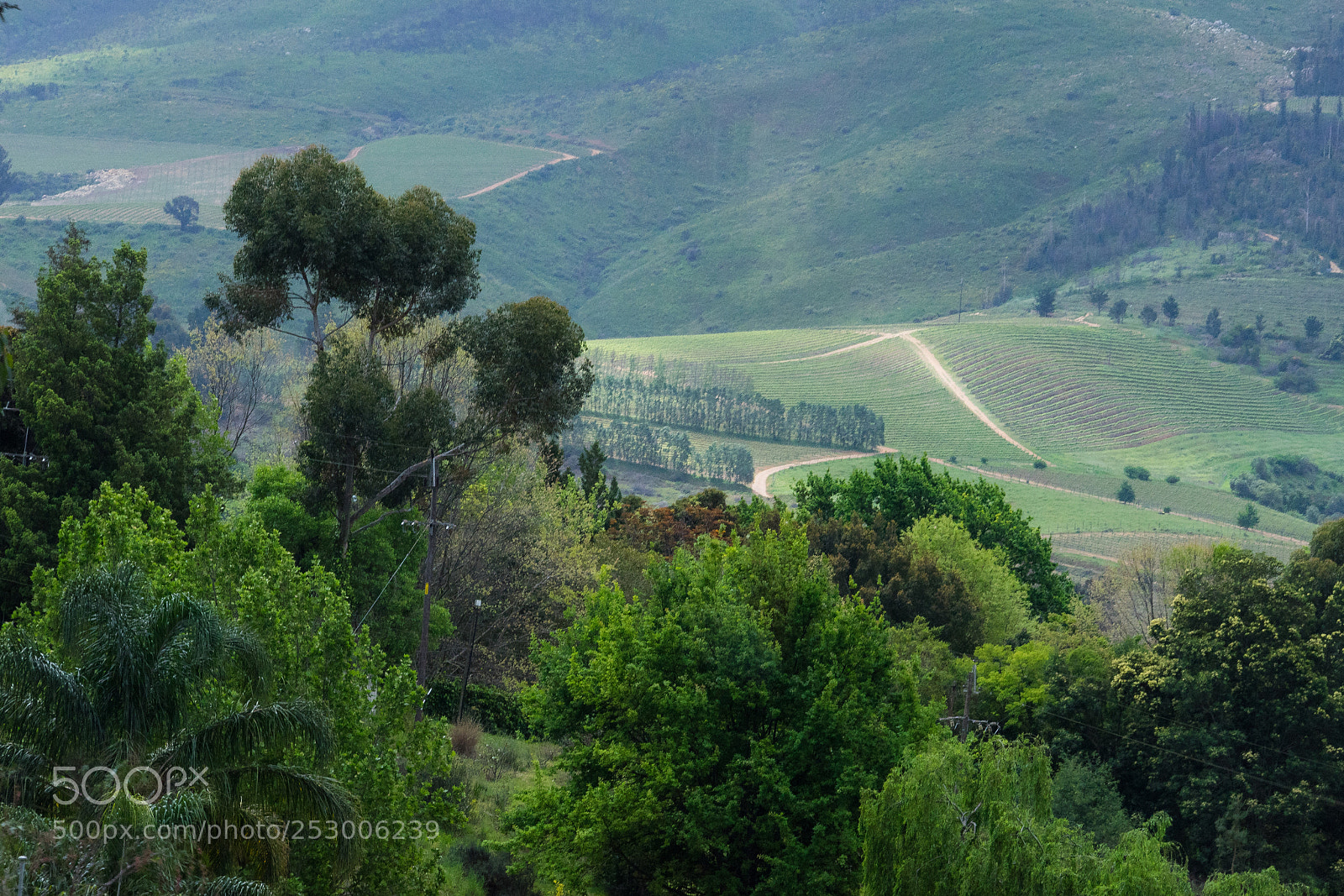Sony a7 sample photo. Just beyond the bend photography